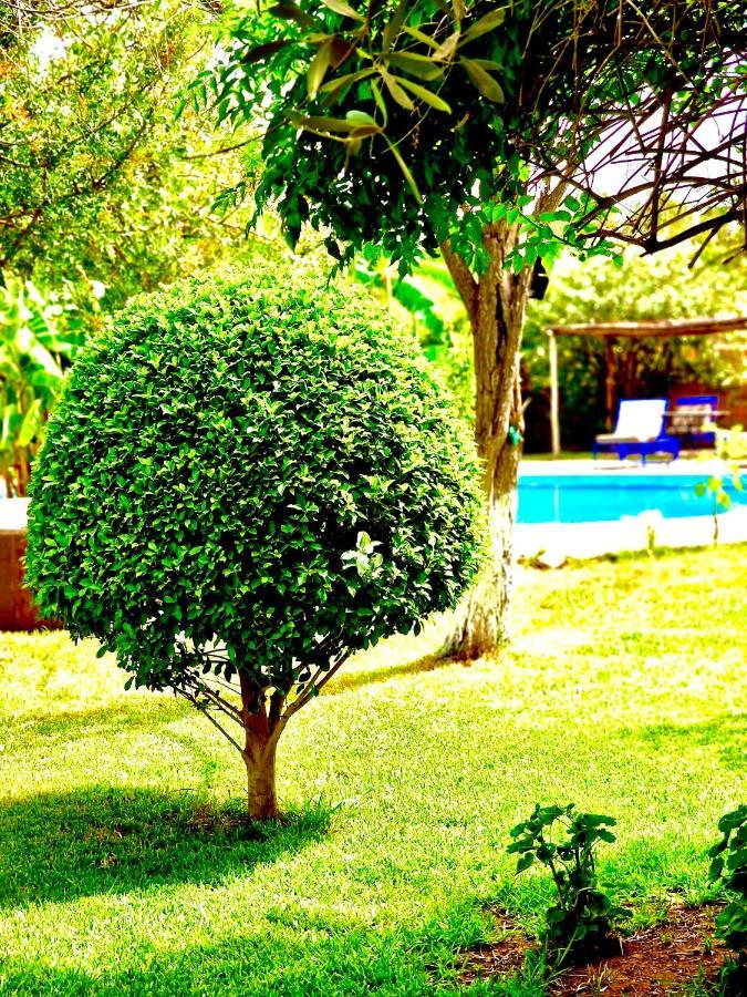 Bed and Breakfast Le Domaine De Carole Marrakech Douar Akkara Exterior foto