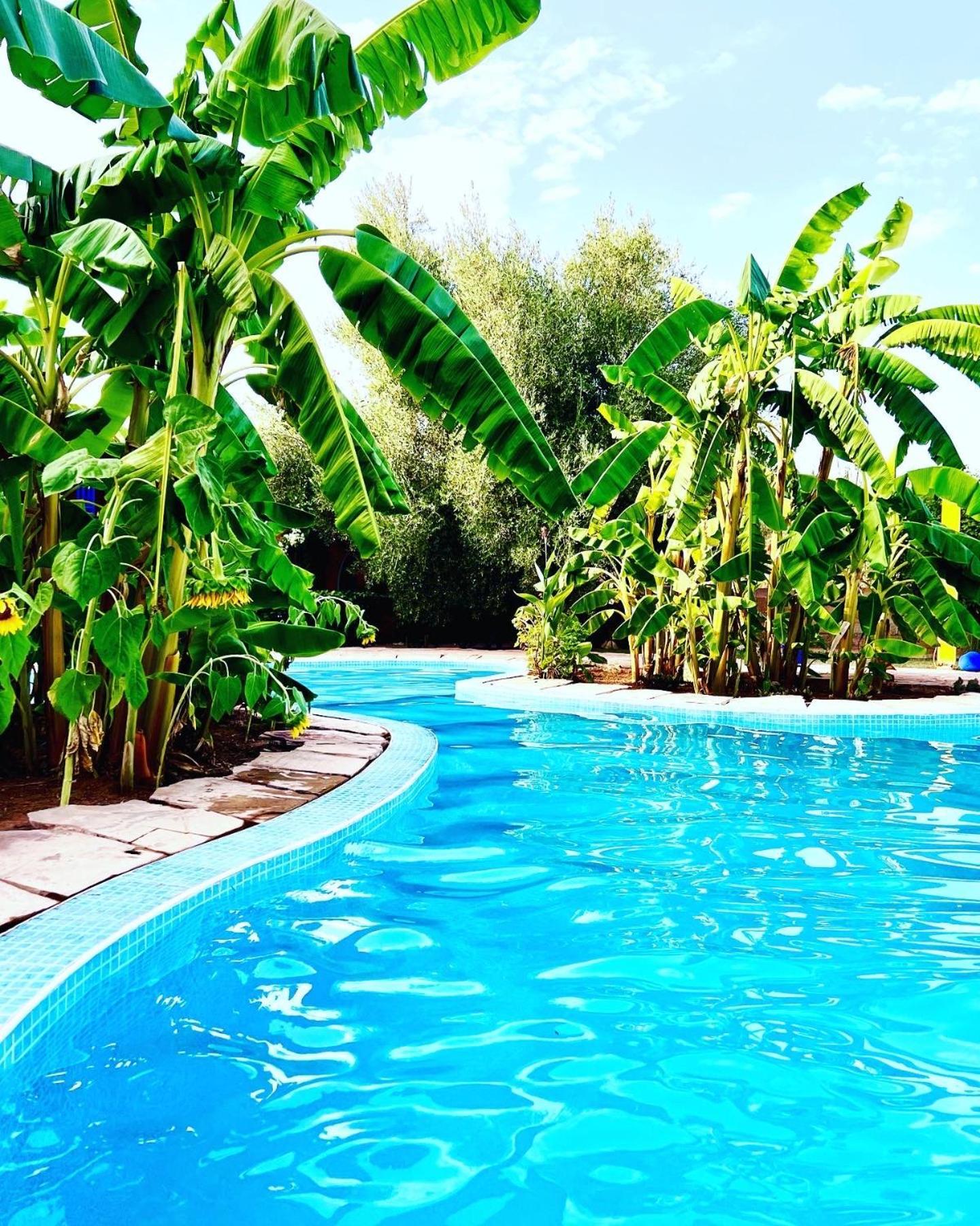 Bed and Breakfast Le Domaine De Carole Marrakech Douar Akkara Exterior foto