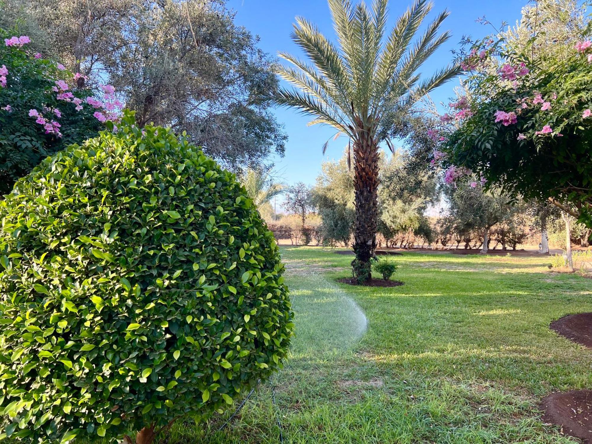 Bed and Breakfast Le Domaine De Carole Marrakech Douar Akkara Exterior foto