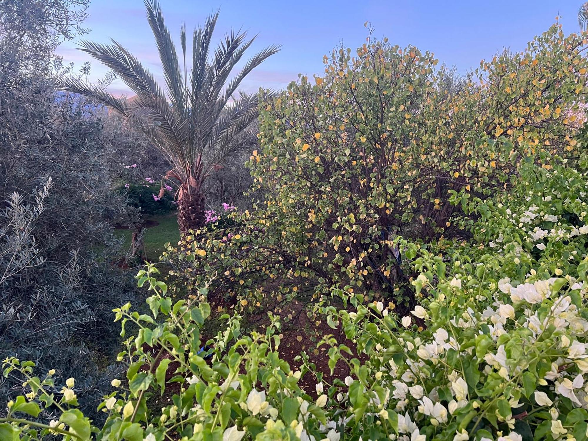 Bed and Breakfast Le Domaine De Carole Marrakech Douar Akkara Exterior foto