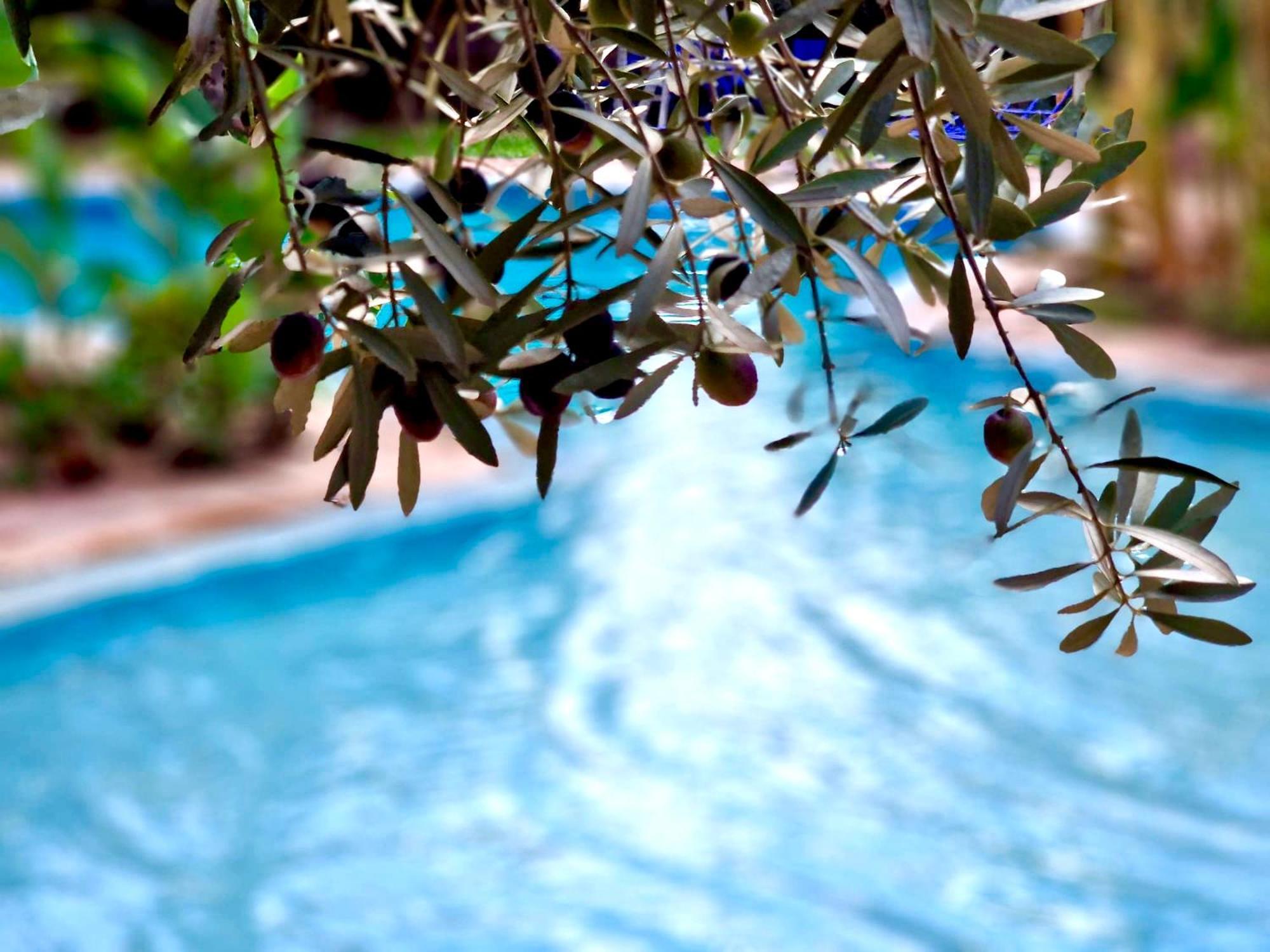 Bed and Breakfast Le Domaine De Carole Marrakech Douar Akkara Exterior foto
